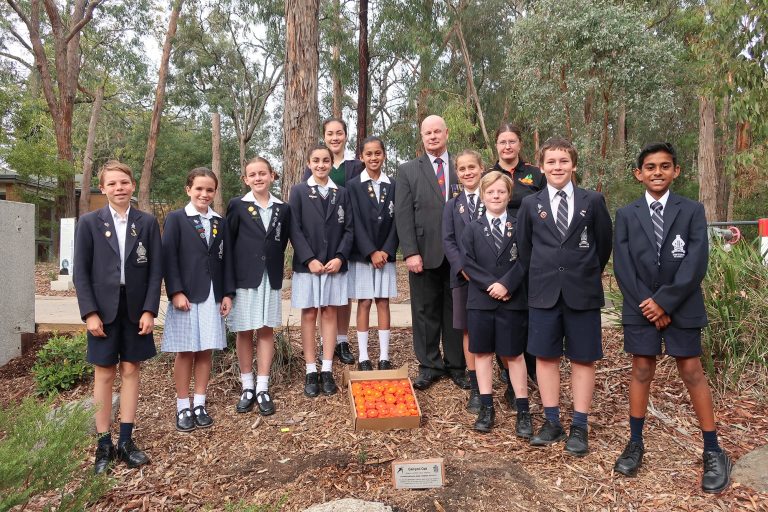 Junior Schools' ANZAC Service | Tintern Grammar